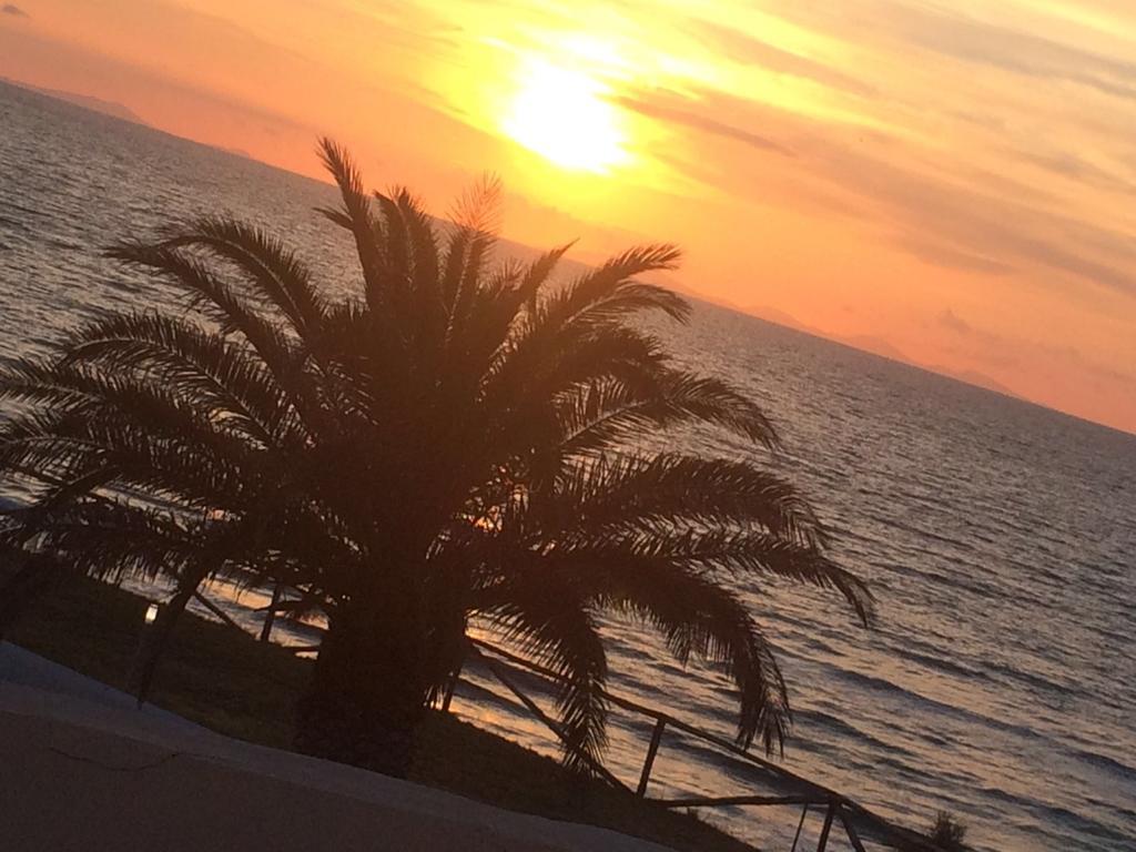 Marina di Sorso La Plage Noire Resort المظهر الخارجي الصورة